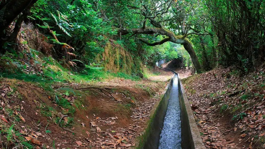Madeira túraútvonalai