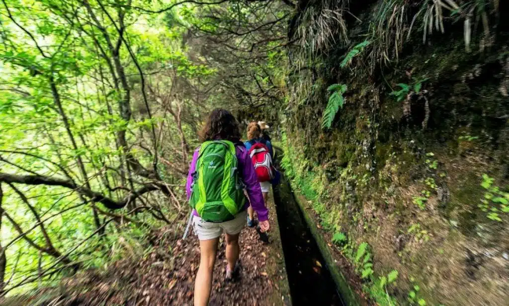 Madeira túraútvonalai