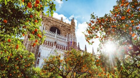 Sevilla varosnezes magyarul