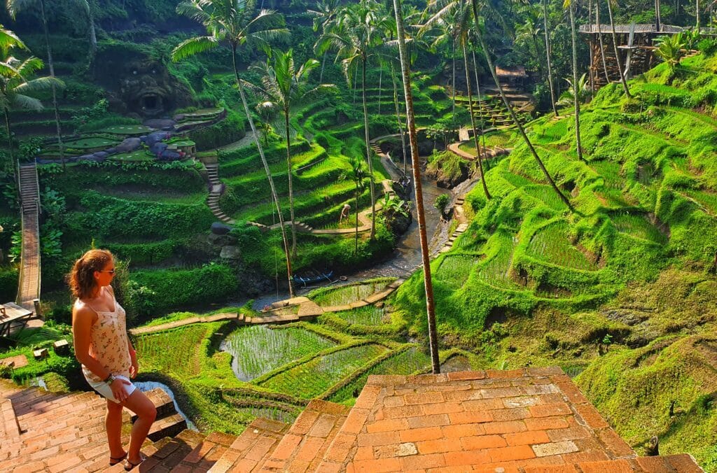 Bali rizsföldek