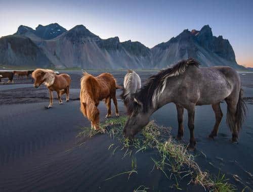 Legjobb-dolgok-Izlandon-lovak