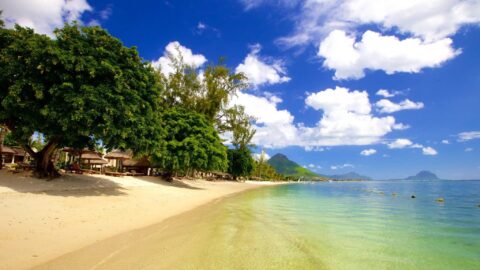 Strandok Mauritius