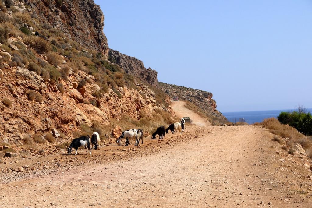 balos-strand-kreta-autoval