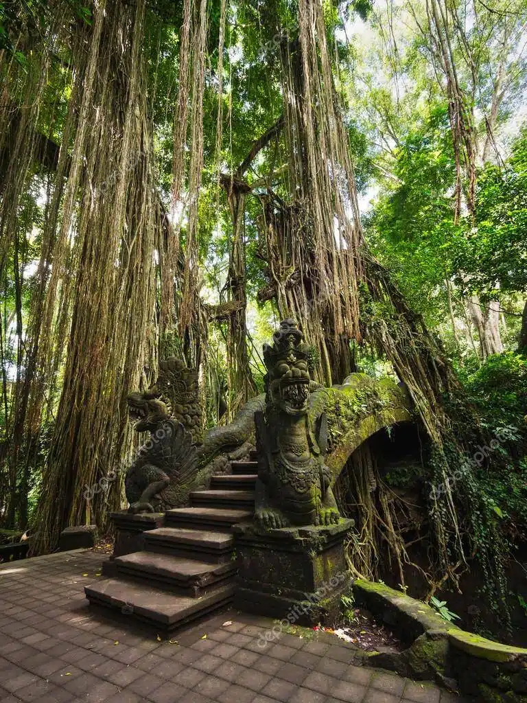 Bali-Indonezia-Majomerdo