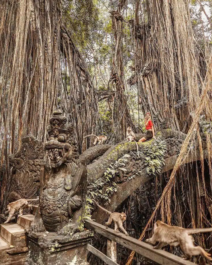 Bali-Ubud-latnivalok-Majomerdo