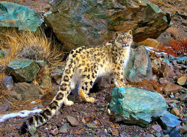 Ladakh látnivalók