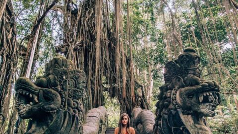 Ubud Majomerdo Bali