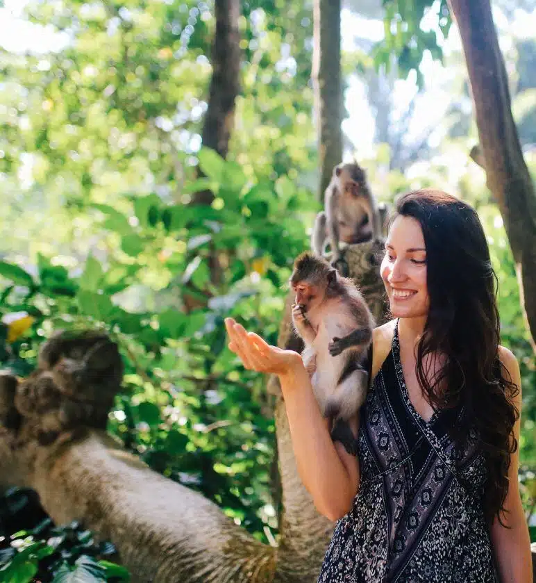 Ubud-Majomerdo-latnivalok