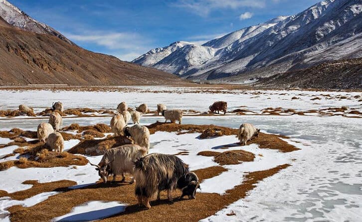 Ladakh látnivalók