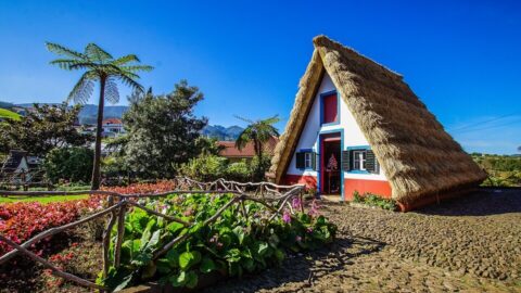 madeira-santana-nadhazak