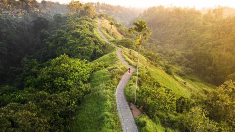 Campuhan-Ridgewalk-ubud-bali