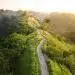 Campuhan-Ridgewalk-ubud-bali