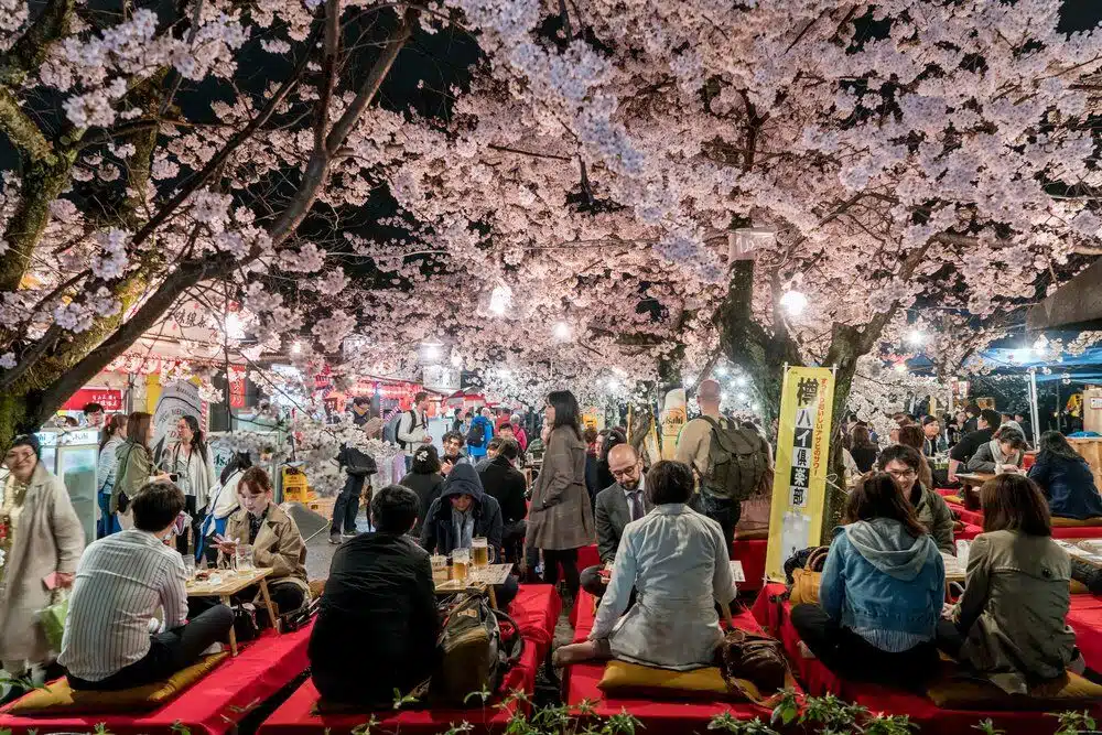 Japán Cseresznyevirágzás Fesztivál