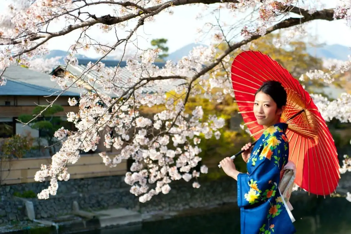 japan-sakura-fesztival