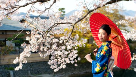 japan-sakura-fesztival