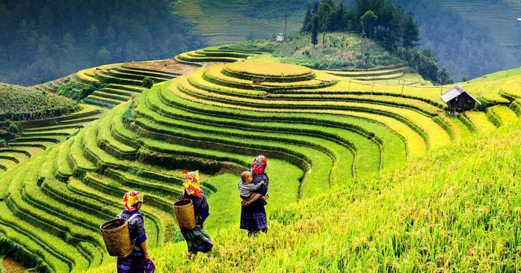 Vietnám körutazás