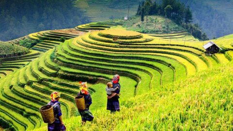 Utazás Észak-Vietnam