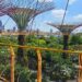 szingapur-gardens-by-the-bay2
