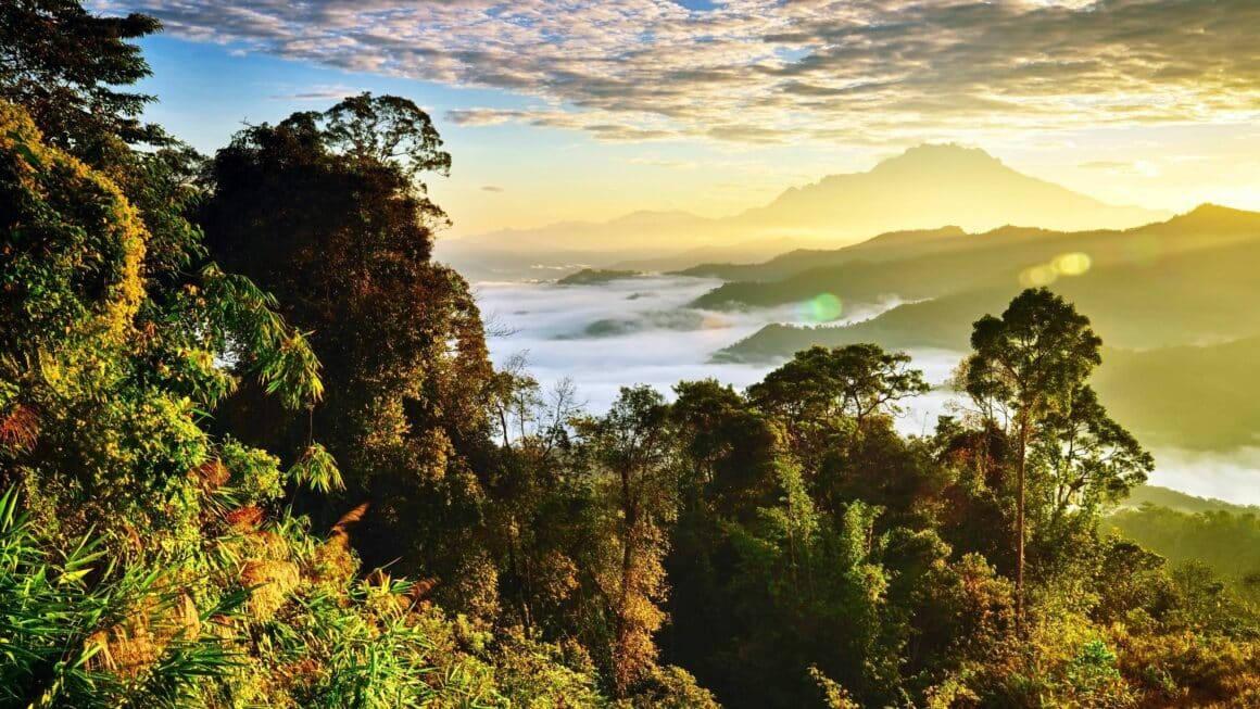 Borneo legszebb latnivalok Malajzia