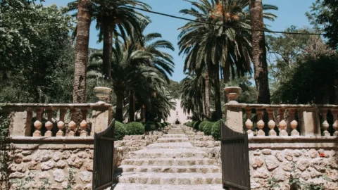 Jardines-de-Alfabia-Mallorca-latnivalok