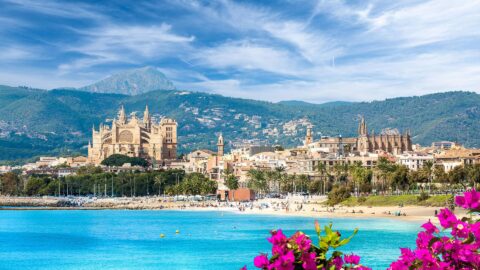 Latnivalok palma de mallorca