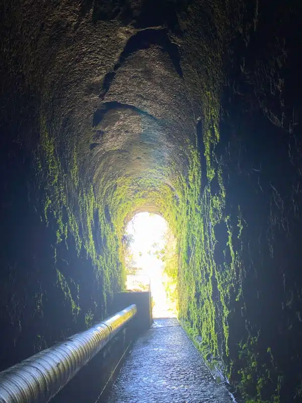 Madeira-Levada-das-25-Fontes-tura-hellovilagvlog