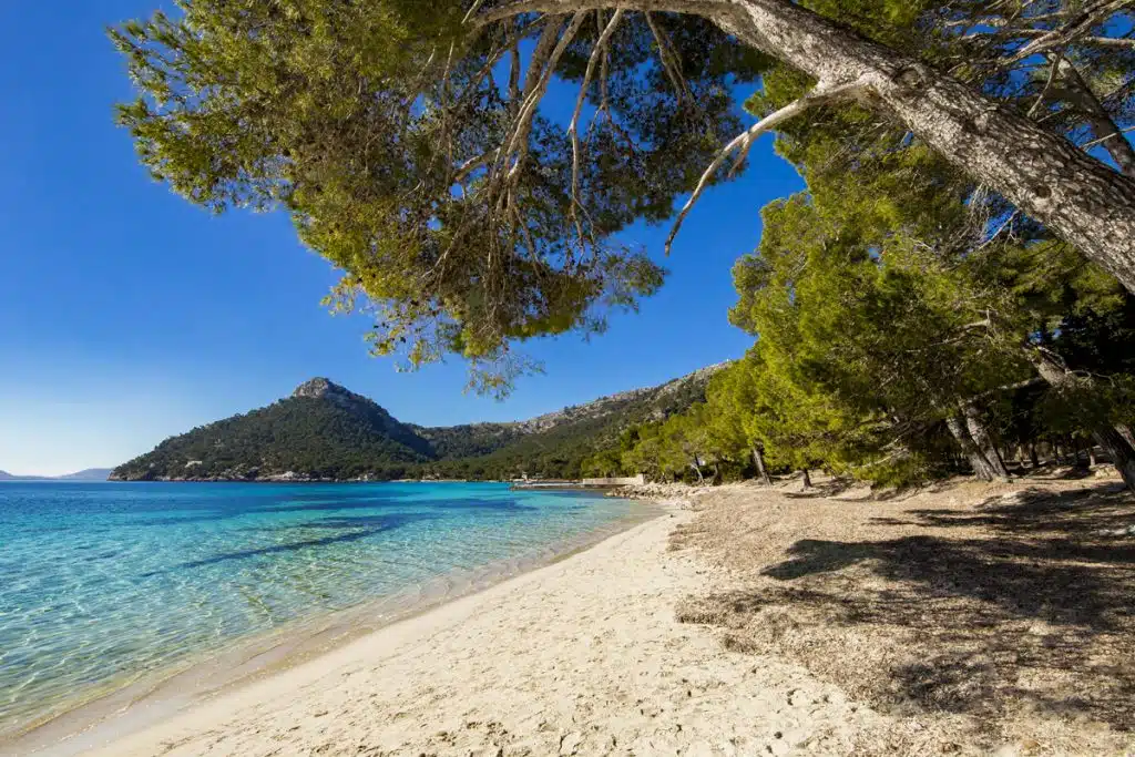 Mallorca Formentor-félsziget