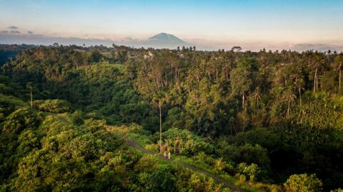 Campuhan Ridgewalk Bali