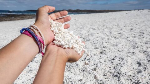 Fuerteventura PopCorn Beach