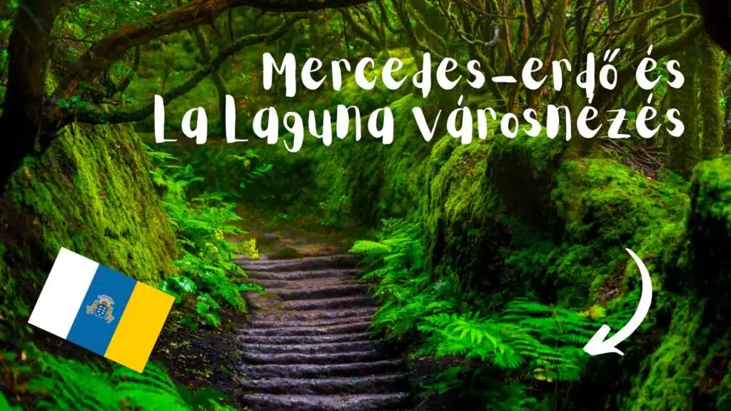 Tenerife La Laguna kirándulás