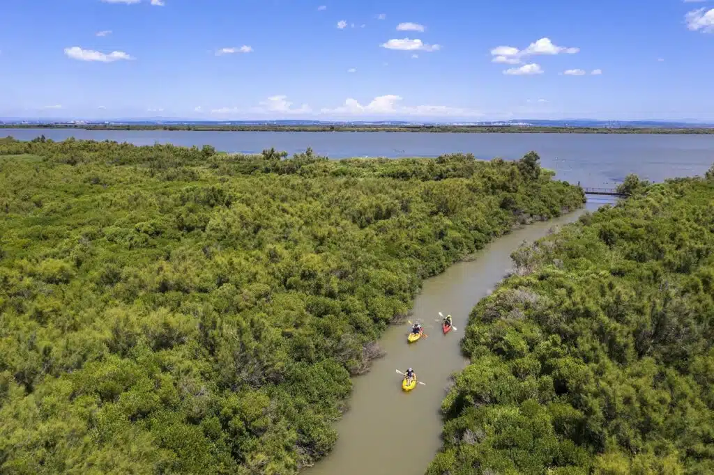 Provence látnivalók