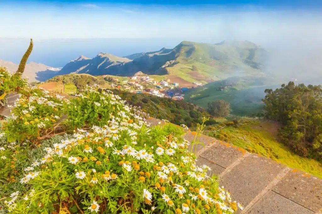 Mercedes erdő kirándulás