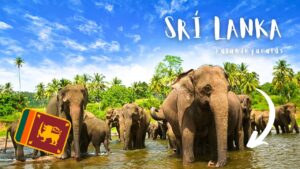 Srí Lanka körutazás 2025