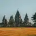 Prambanan-templomok-Yogyakarta-latnivalok-