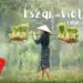 Vietnam-korutazas-1