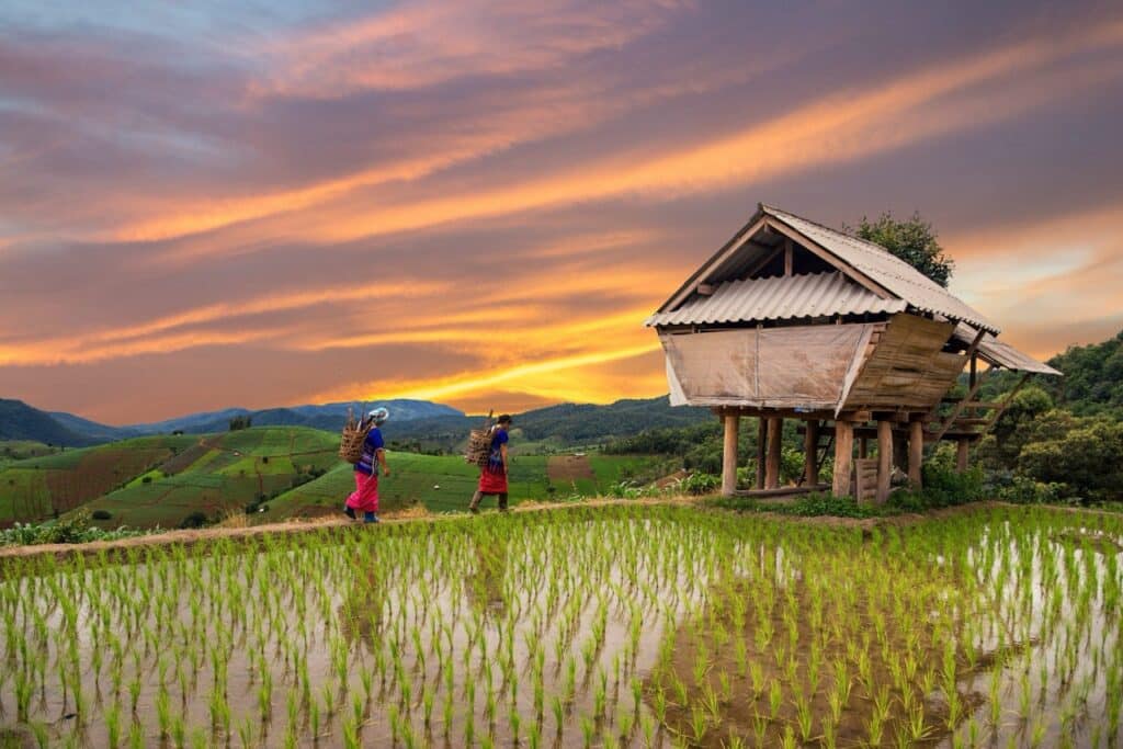 Chiang Mai látnivalók