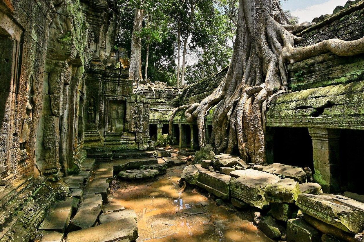 ta-prohm-temlpom-kambodzsa