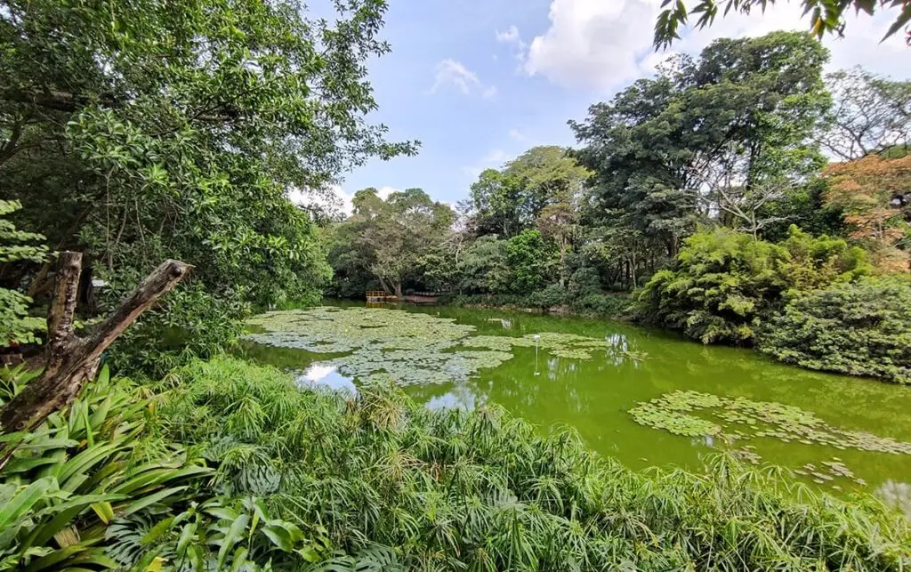 Medellín látnivalók