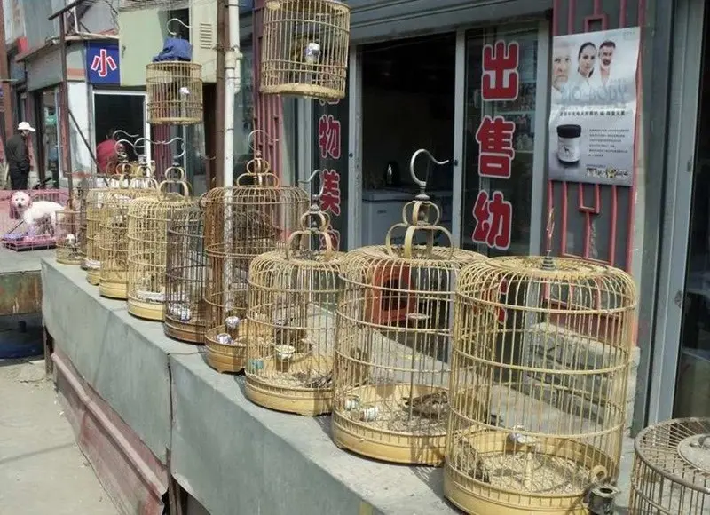 Kunming látnivalók