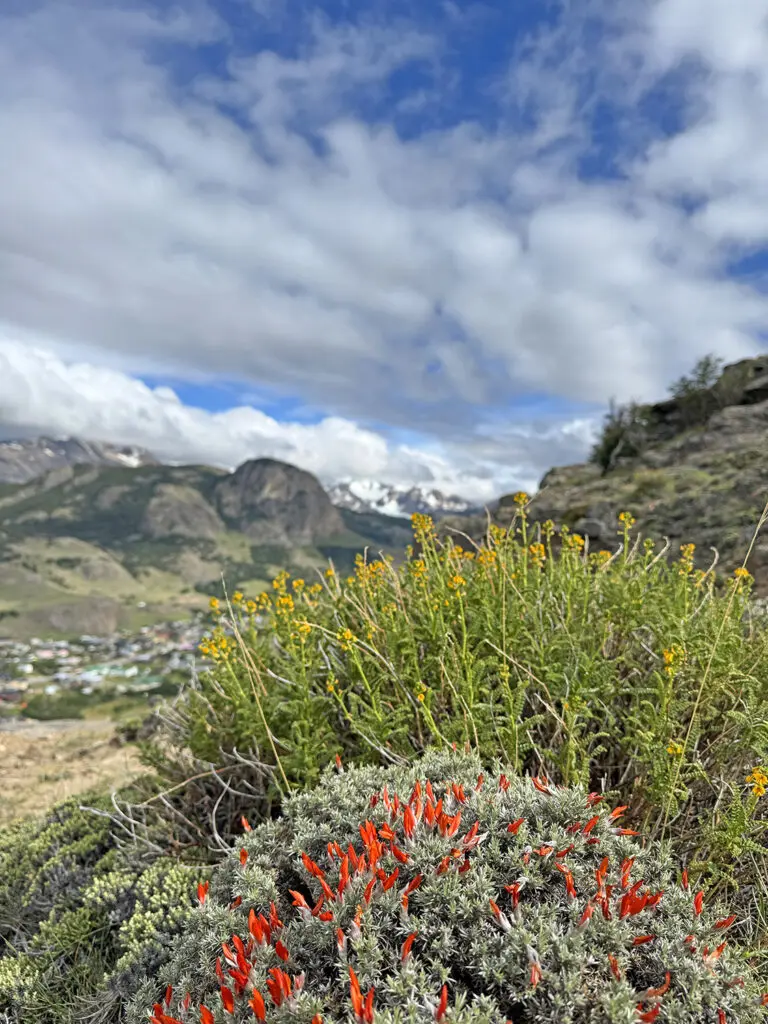 Patagónia kalandtúra