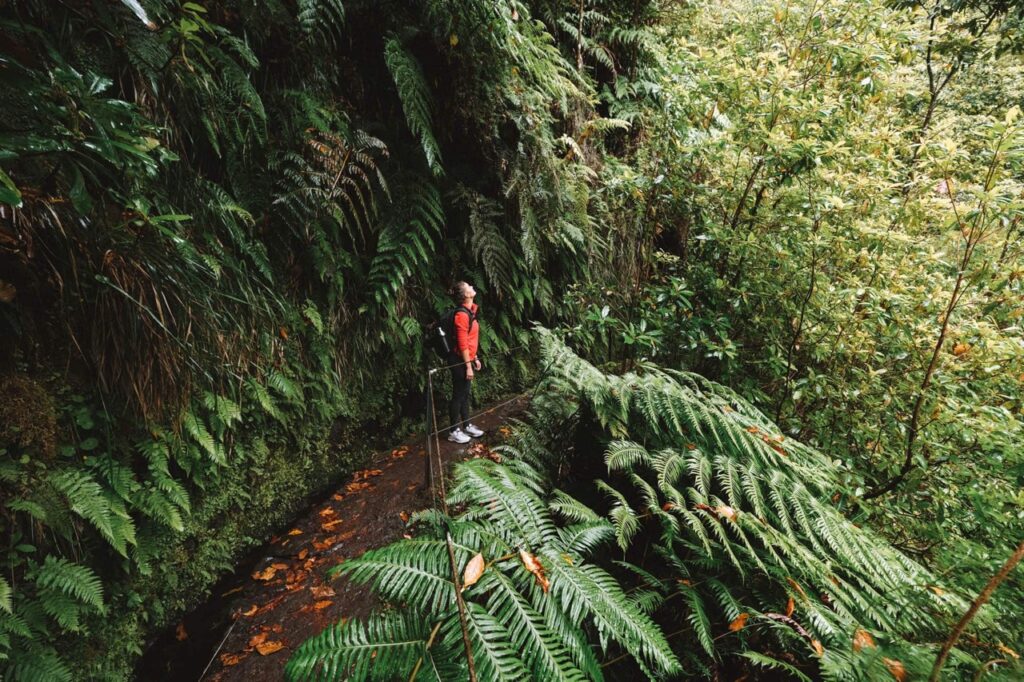 Levada do Caldeirão Verde túra