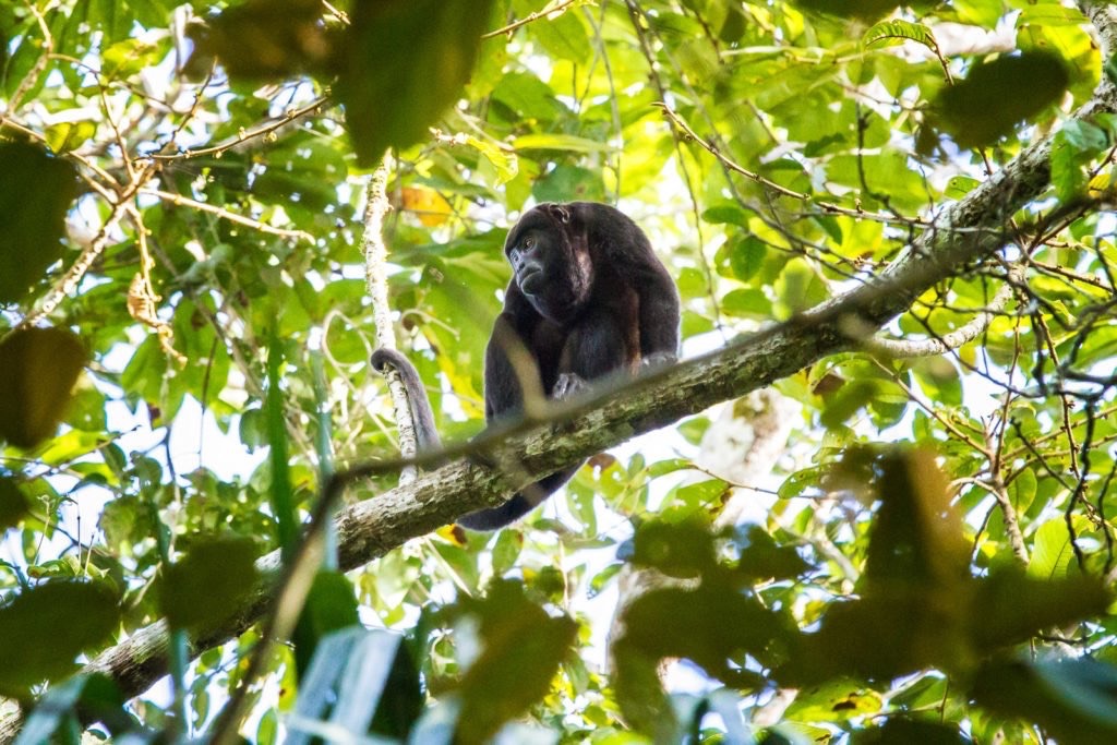 Panama körutazás