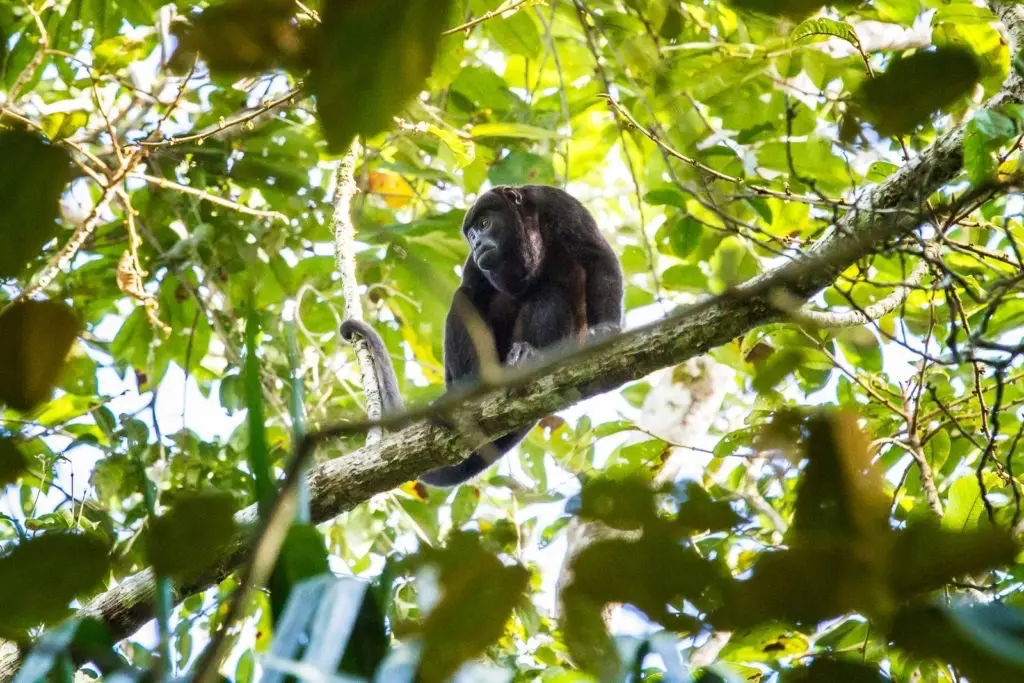 Panama körutazás