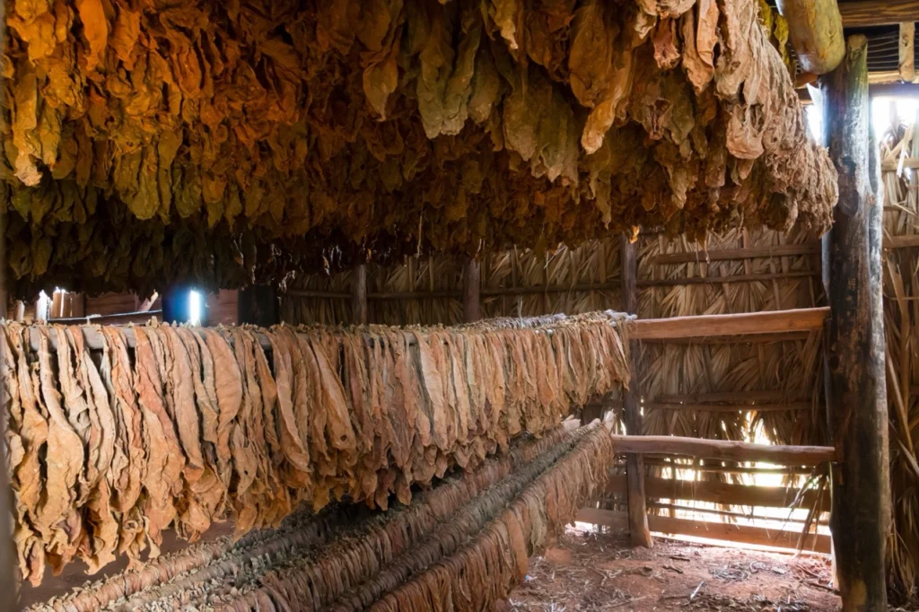 Kuba körutazás 2026