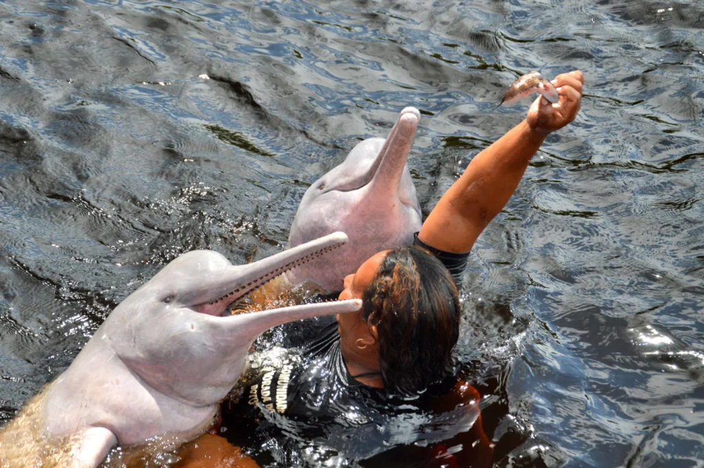 Brazília körutazás