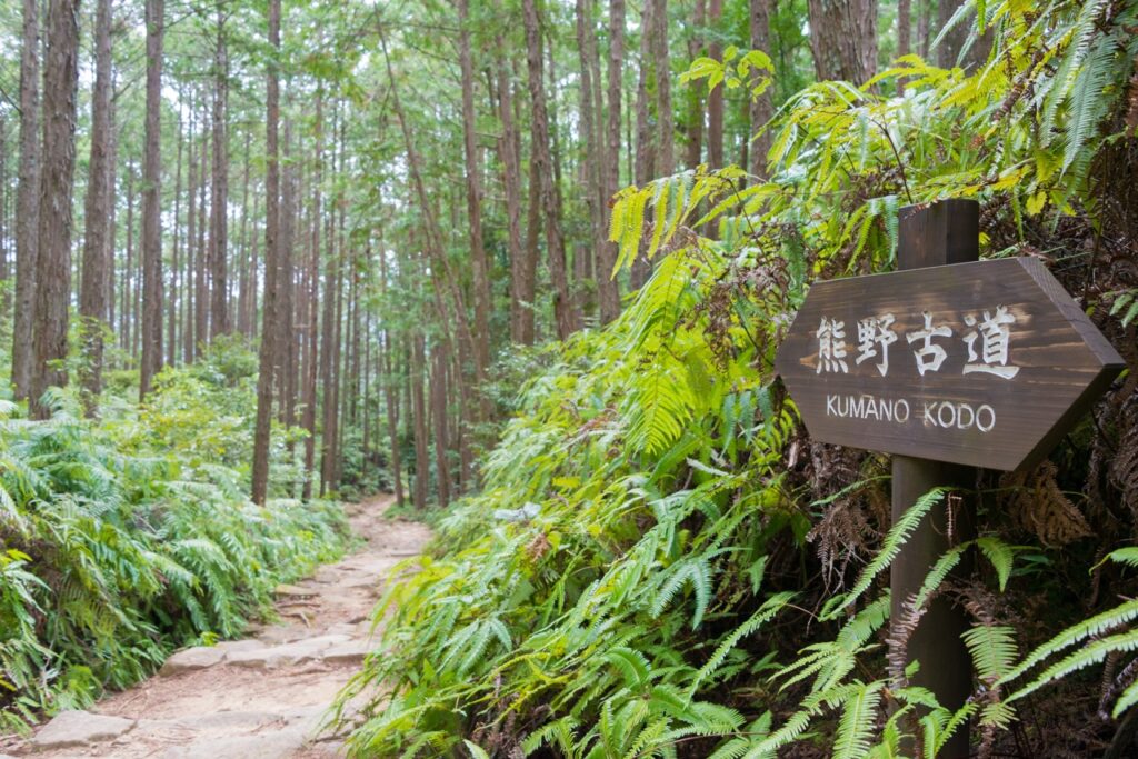 Kumano Kodo ösvény