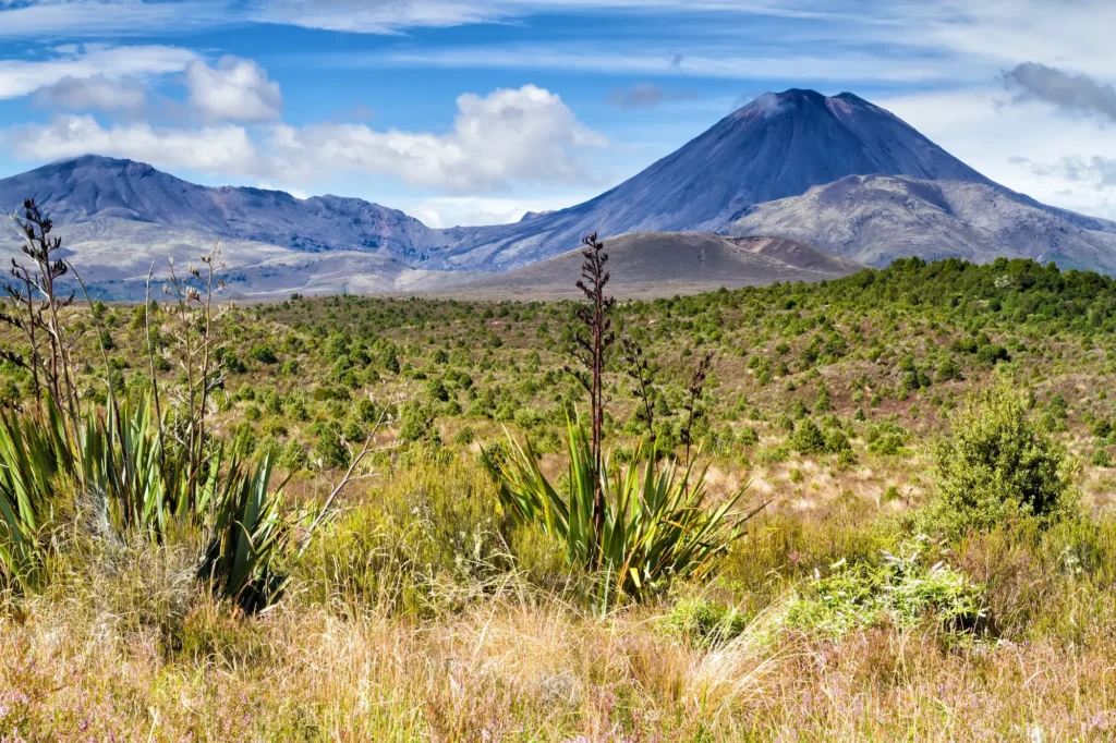 Új-Zéland kalandtúra