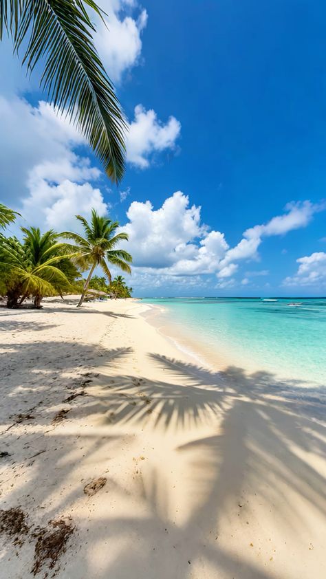 Dominikai Köztársaság körutazás pálmák