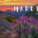 Madeira kalandtúra 2027