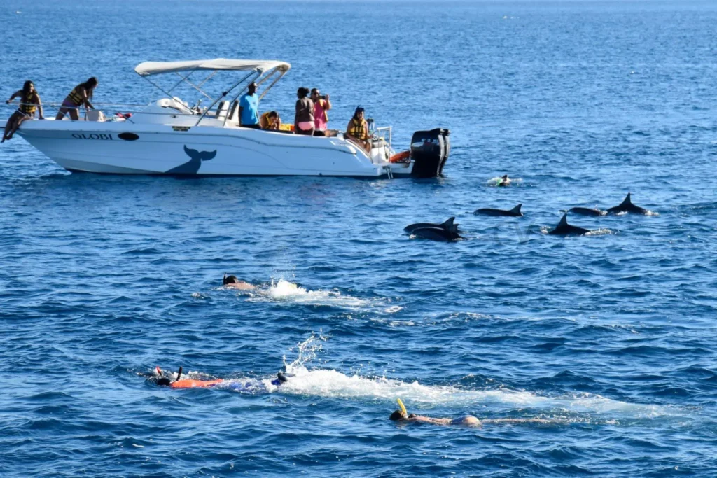 Mauritius körutazás delfinles